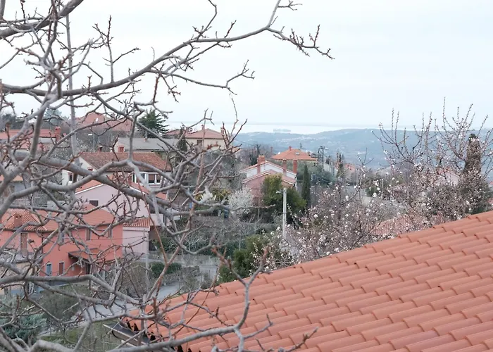 דירה Apartma Nika